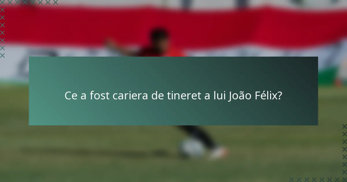 Ce a fost cariera de tineret a lui João Félix?